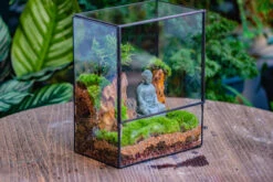 Close Geometric Glass Tin Terrarium Building DIY Set , 8x10" And Buddha, Rock, Micro Landscape Moss Terrarium Building DIY Set No Plants, Customizable -Terrarium Plant Hub IMG 6810