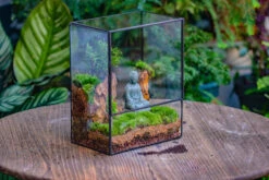 Close Geometric Glass Tin Terrarium Building DIY Set , 8x10" And Buddha, Rock, Micro Landscape Moss Terrarium Building DIY Set No Plants, Customizable -Terrarium Plant Hub IMG 6811