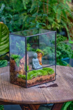 Close Geometric Glass Tin Terrarium Building DIY Set , 8x10" And Buddha, Rock, Micro Landscape Moss Terrarium Building DIY Set No Plants, Customizable -Terrarium Plant Hub IMG 6812