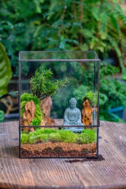 2-6" / 5-15cm Cutted Flat Bottom Natural Ohko Dragon Stone Rock For Terrarium, Aquarium Bonsai Landscape, 2kg/4.4lb, With DIY Tools -Terrarium Plant Hub IMG 6814