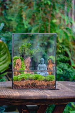 Close Geometric Glass Tin Terrarium Building DIY Set , 8x10" And Buddha, Rock, Micro Landscape Moss Terrarium Building DIY Set No Plants, Customizable -Terrarium Plant Hub IMG 6815