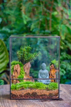 Close Geometric Glass Tin Terrarium Building DIY Set , 8x10" And Buddha, Rock, Micro Landscape Moss Terrarium Building DIY Set No Plants, Customizable -Terrarium Plant Hub IMG 6816