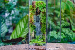 NCYP Close 11.8" Tall Geometric Glass Terrarium With Door Building DIY Set, With Buddha, Dragon Rocks, Planting Materials -Terrarium Plant Hub IMG 6904