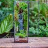 NCYP Close 11.8" Tall Geometric Glass Terrarium With Door Building DIY Set, With Buddha, Dragon Rocks, Planting Materials -Terrarium Plant Hub IMG 6905