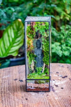 NCYP Close 11.8" Tall Geometric Glass Terrarium With Door Building DIY Set, With Buddha, Dragon Rocks, Planting Materials -Terrarium Plant Hub IMG 6909