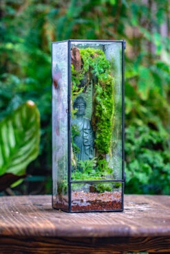 NCYP Close 11.8" Tall Geometric Glass Terrarium With Door Building DIY Set, With Buddha, Dragon Rocks, Planting Materials -Terrarium Plant Hub IMG 6910