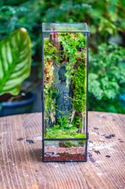NCYP Close 11.8" Tall Geometric Glass Terrarium With Door Building DIY Set, With Buddha, Dragon Rocks, Planting Materials -Terrarium Plant Hub IMG 6913