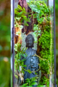 NCYP Close 11.8" Tall Geometric Glass Terrarium With Door Building DIY Set, With Buddha, Dragon Rocks, Planting Materials -Terrarium Plant Hub IMG 6915