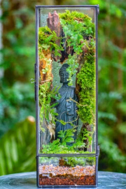 NCYP Close 11.8" Tall Geometric Glass Terrarium With Door Building DIY Set, With Buddha, Dragon Rocks, Planting Materials -Terrarium Plant Hub IMG 6919