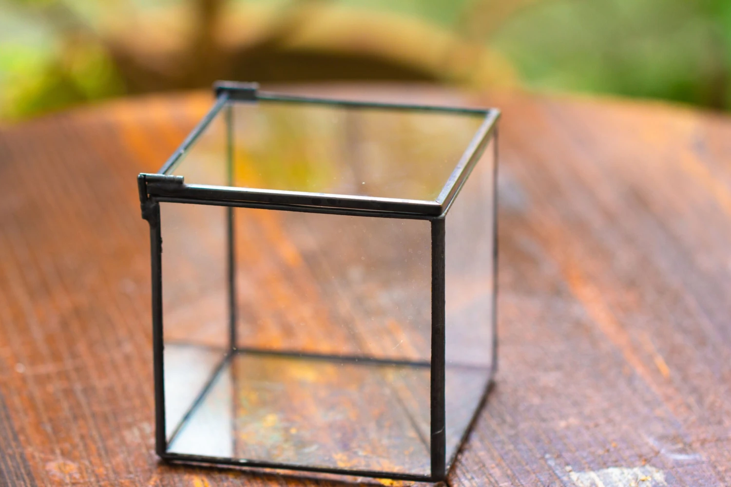 Cube Mini 4 Inches Moss Geometric Glass Terrarium DIY Set 19 Cube Mini 4 Inches Moss Geometric Glass Terrarium DIY Set - Image 17