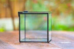 Handmade Cube Mini 4 Inches Close Geometric Glass Tin Terrarium, Greenhouse Planter For Moss, Christmas Gift, Terrarium Only -Terrarium Plant Hub IMG 6947 e54a3be2 51d9 4f0c 85f4 70d3b5a0f17e 1