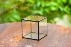 Cube Mini 4 Inches Moss Geometric Glass Terrarium DIY Set 41 Cube Mini 4 Inches Moss Geometric Glass Terrarium DIY Set -Terrarium Plant Hub IMG 6949 64c93eed 091f 4b6c 8fea 8d50fe8511bd
