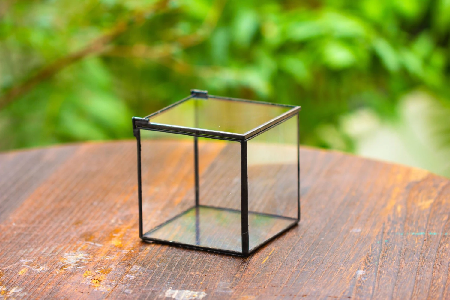 Cube Mini 4 Inches Moss Geometric Glass Terrarium DIY Set 22 Cube Mini 4 Inches Moss Geometric Glass Terrarium DIY Set - Image 20