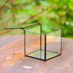 Cube Mini 4 Inches Moss Geometric Glass Terrarium DIY Set 36 Cube Mini 4 Inches Moss Geometric Glass Terrarium DIY Set -Terrarium Plant Hub IMG 6950 1 1