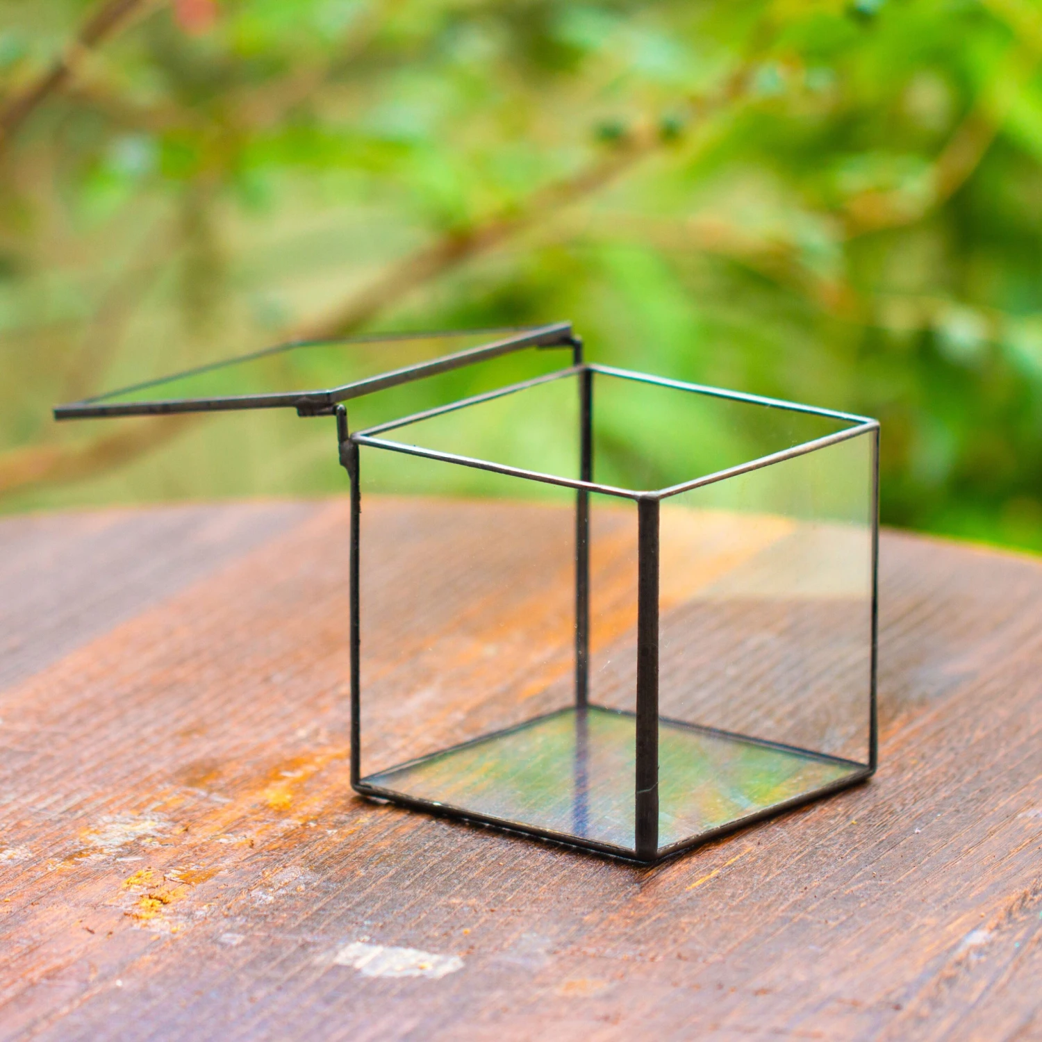 Cube Mini 4 Inches Moss Geometric Glass Terrarium DIY Set 17 Cube Mini 4 Inches Moss Geometric Glass Terrarium DIY Set - Image 15