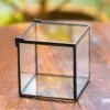 Handmade Cube Mini 4 Inches Close Geometric Glass Tin Terrarium, Greenhouse Planter For Moss, Christmas Gift, Terrarium Only -Terrarium Plant Hub IMG 6950 1 2 1