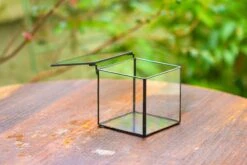 Cube Mini 4 Inches Moss Geometric Glass Terrarium DIY Set 37 Cube Mini 4 Inches Moss Geometric Glass Terrarium DIY Set -Terrarium Plant Hub IMG 6950 64548560 4f18 4818 a627 1c8d7db43139