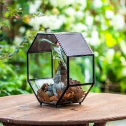 Handmade Octagon Glass Geometric Terrarium With Side Vent, Spider Terrarium, Jumping Spider/Snail Terrarium, Jumping Spider Enclosure -Terrarium Plant Hub IMG 6985 2
