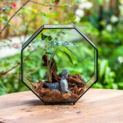 Handmade Octagon Glass Geometric Terrarium With Side Vent, Spider Terrarium, Jumping Spider/Snail Terrarium, Jumping Spider Enclosure -Terrarium Plant Hub IMG 6989 2