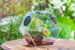 Handmade Extra Large Acrylic Hexagon Watertight Enclosure Terrarium With Mesh Vents, Feed Hole For Insects, Vivarium, Enclosure Only -Terrarium Plant Hub IMG 7006 63d8c10d ffa4 4b8c 850c f29eedf8ee2e