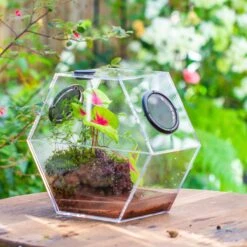 Handmade Extra Large Acrylic Hexagon Watertight Enclosure Terrarium With Mesh Vents, Feed Hole For Insects, Vivarium, Enclosure Only -Terrarium Plant Hub IMG 7007 2