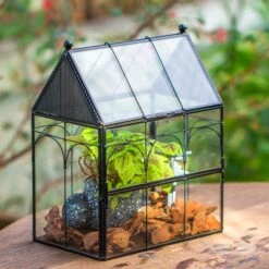 NCYP Vintage House Shape Glass Geometric Terrarium, With Side Door, With Mesh Vent Holes For Small Insects Pet 25 NCYP Vintage House Shape Glass Geometric Terrarium, With Side Door, With Mesh Vent Holes For Small Insects Pet -Terrarium Plant Hub IMG 7008 2