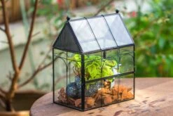 NCYP Vintage House Shape Glass Geometric Terrarium, With Side Door, With Mesh Vent Holes For Small Insects Pet 33 NCYP Vintage House Shape Glass Geometric Terrarium, With Side Door, With Mesh Vent Holes For Small Insects Pet -Terrarium Plant Hub IMG 7008