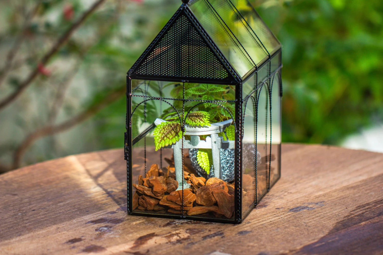 NCYP Vintage House Shape Glass Geometric Terrarium, With Side Door, With Mesh Vent Holes For Small Insects Pet 21 NCYP Vintage House Shape Glass Geometric Terrarium, With Side Door, With Mesh Vent Holes For Small Insects Pet - Image 19