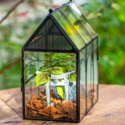 NCYP Vintage House Shape Glass Geometric Terrarium, With Side Door, With Mesh Vent Holes For Small Insects Pet 27 NCYP Vintage House Shape Glass Geometric Terrarium, With Side Door, With Mesh Vent Holes For Small Insects Pet -Terrarium Plant Hub IMG 7011 2