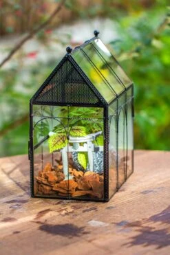 NCYP Vintage House Shape Glass Geometric Terrarium, With Side Door, With Mesh Vent Holes For Small Insects Pet 30 NCYP Vintage House Shape Glass Geometric Terrarium, With Side Door, With Mesh Vent Holes For Small Insects Pet -Terrarium Plant Hub IMG 7011
