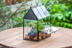 NCYP Vintage House Shape Glass Geometric Terrarium, With Side Door, With Mesh Vent Holes For Small Insects Pet 32 NCYP Vintage House Shape Glass Geometric Terrarium, With Side Door, With Mesh Vent Holes For Small Insects Pet -Terrarium Plant Hub IMG 7019 2