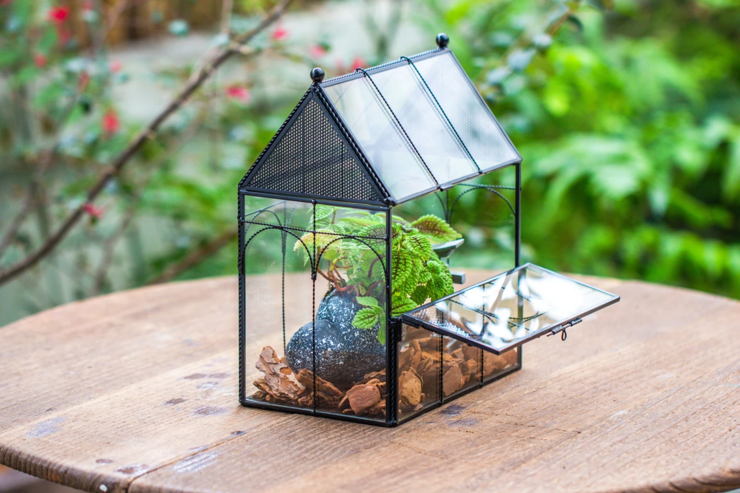 NCYP Vintage House Shape Glass Geometric Terrarium, With Side Door, With Mesh Vent Holes For Small Insects Pet 13 NCYP Vintage House Shape Glass Geometric Terrarium, With Side Door, With Mesh Vent Holes For Small Insects Pet - Image 11