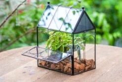 NCYP Vintage House Shape Glass Geometric Terrarium, With Side Door, With Mesh Vent Holes For Small Insects Pet 31 NCYP Vintage House Shape Glass Geometric Terrarium, With Side Door, With Mesh Vent Holes For Small Insects Pet -Terrarium Plant Hub IMG 7020