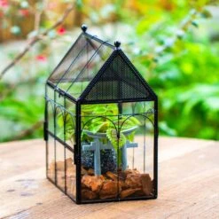 NCYP Vintage House Shape Glass Geometric Terrarium, With Side Door, With Mesh Vent Holes For Small Insects Pet 29 NCYP Vintage House Shape Glass Geometric Terrarium, With Side Door, With Mesh Vent Holes For Small Insects Pet -Terrarium Plant Hub IMG 7023 2
