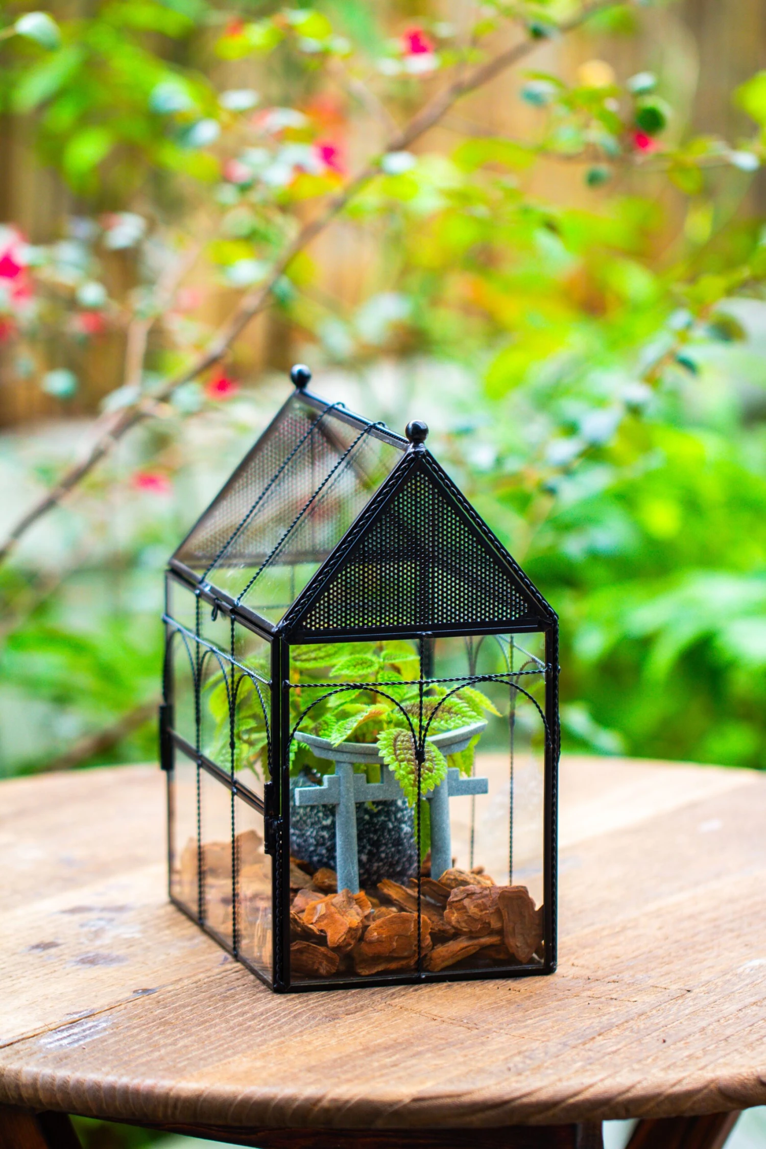 NCYP Vintage House Shape Glass Geometric Terrarium, With Side Door, With Mesh Vent Holes For Small Insects Pet 15 NCYP Vintage House Shape Glass Geometric Terrarium, With Side Door, With Mesh Vent Holes For Small Insects Pet - Image 13