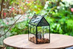 NCYP Vintage House Shape Glass Geometric Terrarium, With Side Door, With Mesh Vent Holes For Small Insects Pet 36 NCYP Vintage House Shape Glass Geometric Terrarium, With Side Door, With Mesh Vent Holes For Small Insects Pet -Terrarium Plant Hub IMG 7024