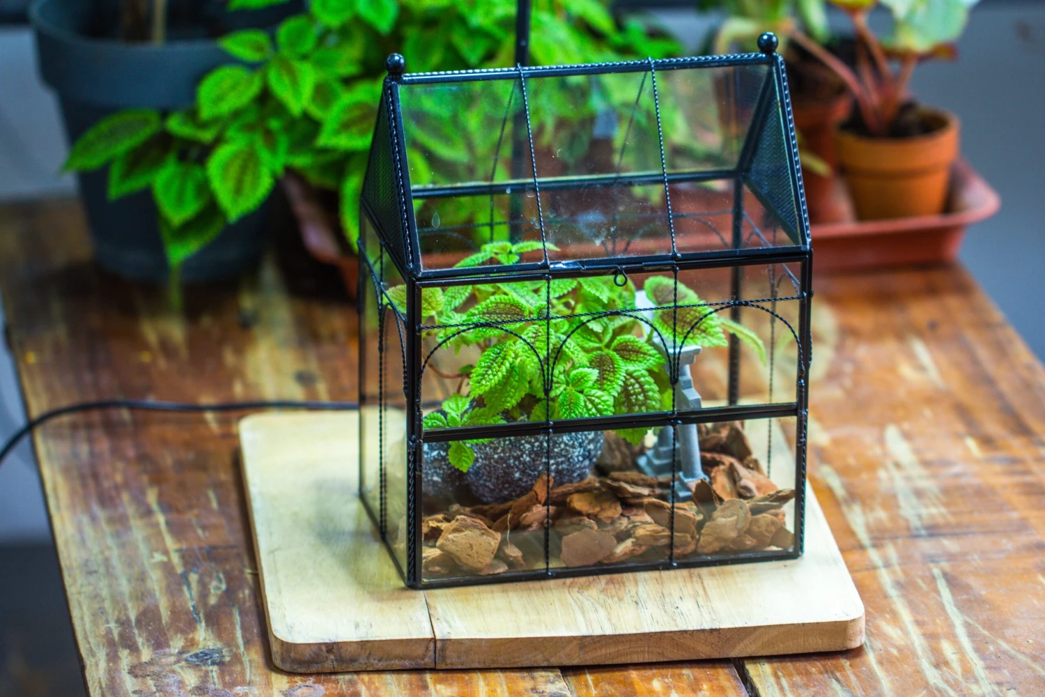 NCYP Vintage House Shape Glass Geometric Terrarium, With Side Door, With Mesh Vent Holes For Small Insects Pet 22 NCYP Vintage House Shape Glass Geometric Terrarium, With Side Door, With Mesh Vent Holes For Small Insects Pet - Image 20