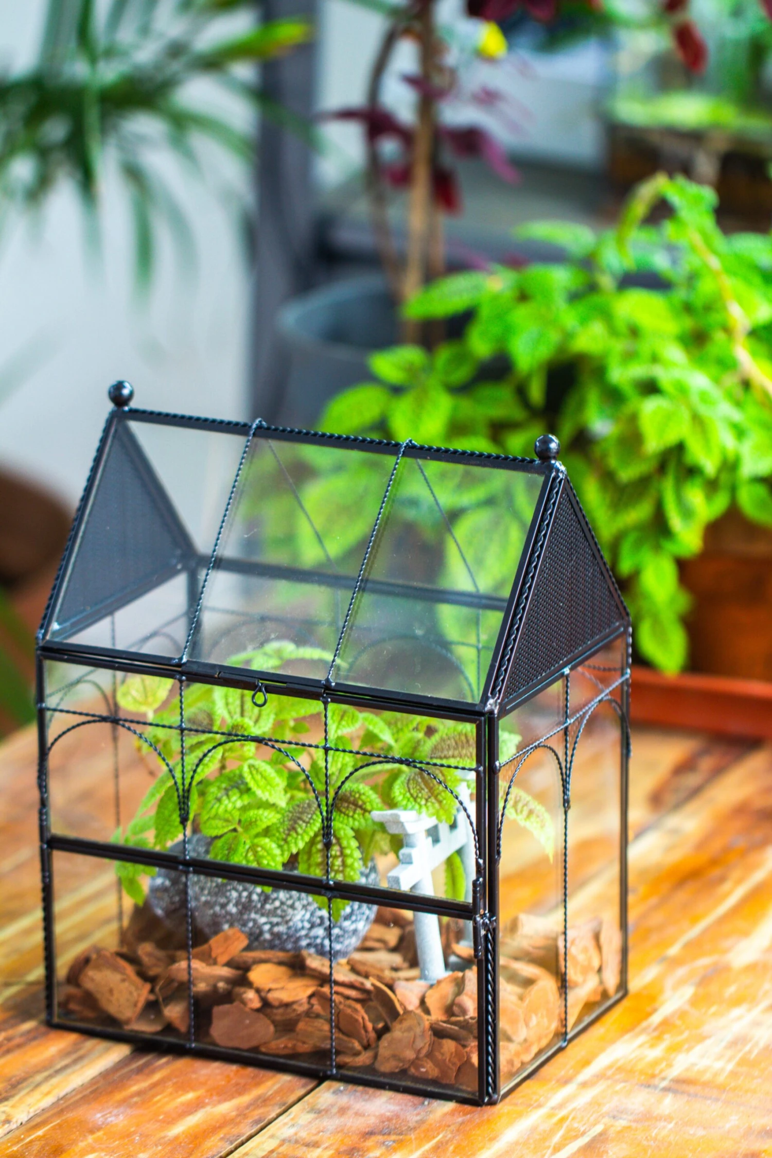 NCYP Vintage House Shape Glass Geometric Terrarium, With Side Door, With Mesh Vent Holes For Small Insects Pet 9 NCYP Vintage House Shape Glass Geometric Terrarium, With Side Door, With Mesh Vent Holes For Small Insects Pet - Image 7