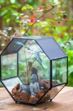 Handmade Octagon Glass Geometric Terrarium With Side Vent, Spider Terrarium, Jumping Spider/Snail Terrarium, Jumping Spider Enclosure -Terrarium Plant Hub IMG 7040