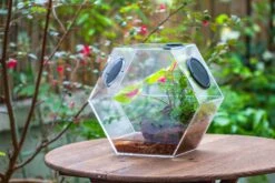 Handmade Extra Large Acrylic Hexagon Watertight Enclosure Terrarium With Mesh Vents, Feed Hole For Insects, Vivarium, Enclosure Only -Terrarium Plant Hub IMG 7060