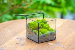 Handmade Cube Mini 4 Inches Close Geometric Glass Tin Terrarium, Greenhouse Planter For Moss, Christmas Gift, Terrarium Only -Terrarium Plant Hub IMG 7114 1