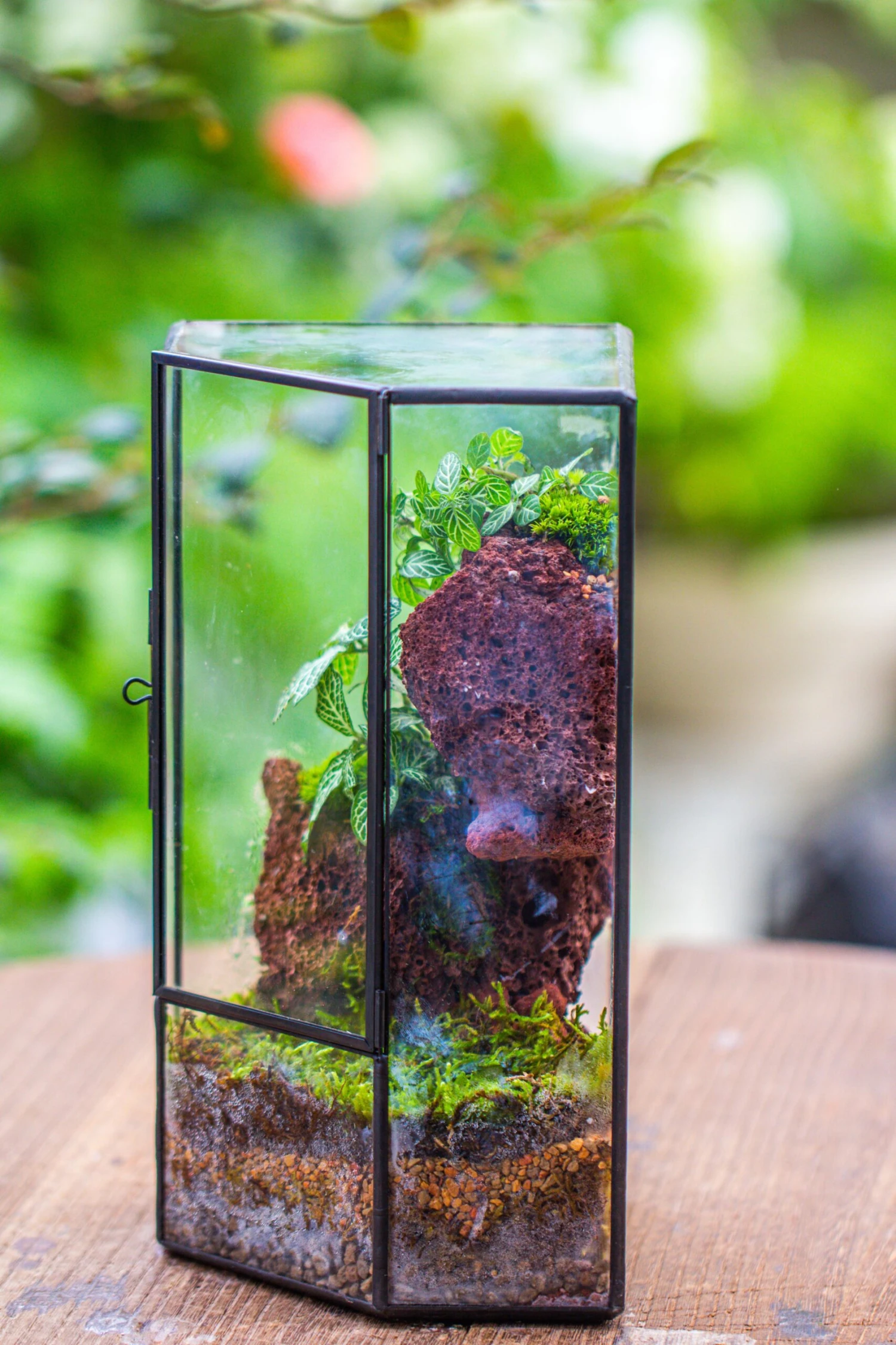 Small Version Handmade Glass Terrarium With Door For Plant, Moss Wall, Closed Geometric Tin Pentagon Planter 11 Small Version Handmade Glass Terrarium With Door For Plant, Moss Wall, Closed Geometric Tin Pentagon Planter - Image 9