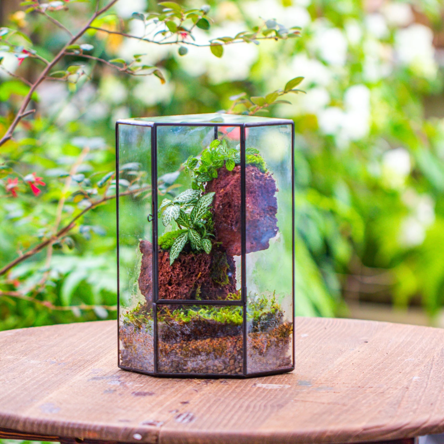 Small Version Handmade Glass Terrarium With Door For Plant, Moss Wall, Closed Geometric Tin Pentagon Planter 4 Small Version Handmade Glass Terrarium With Door For Plant, Moss Wall, Closed Geometric Tin Pentagon Planter - Image 2