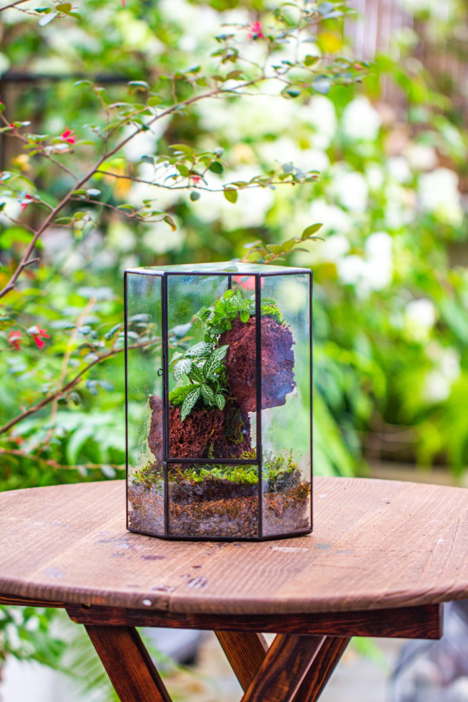 Small Version Handmade Glass Terrarium With Door For Plant, Moss Wall, Closed Geometric Tin Pentagon Planter 10 Small Version Handmade Glass Terrarium With Door For Plant, Moss Wall, Closed Geometric Tin Pentagon Planter - Image 8