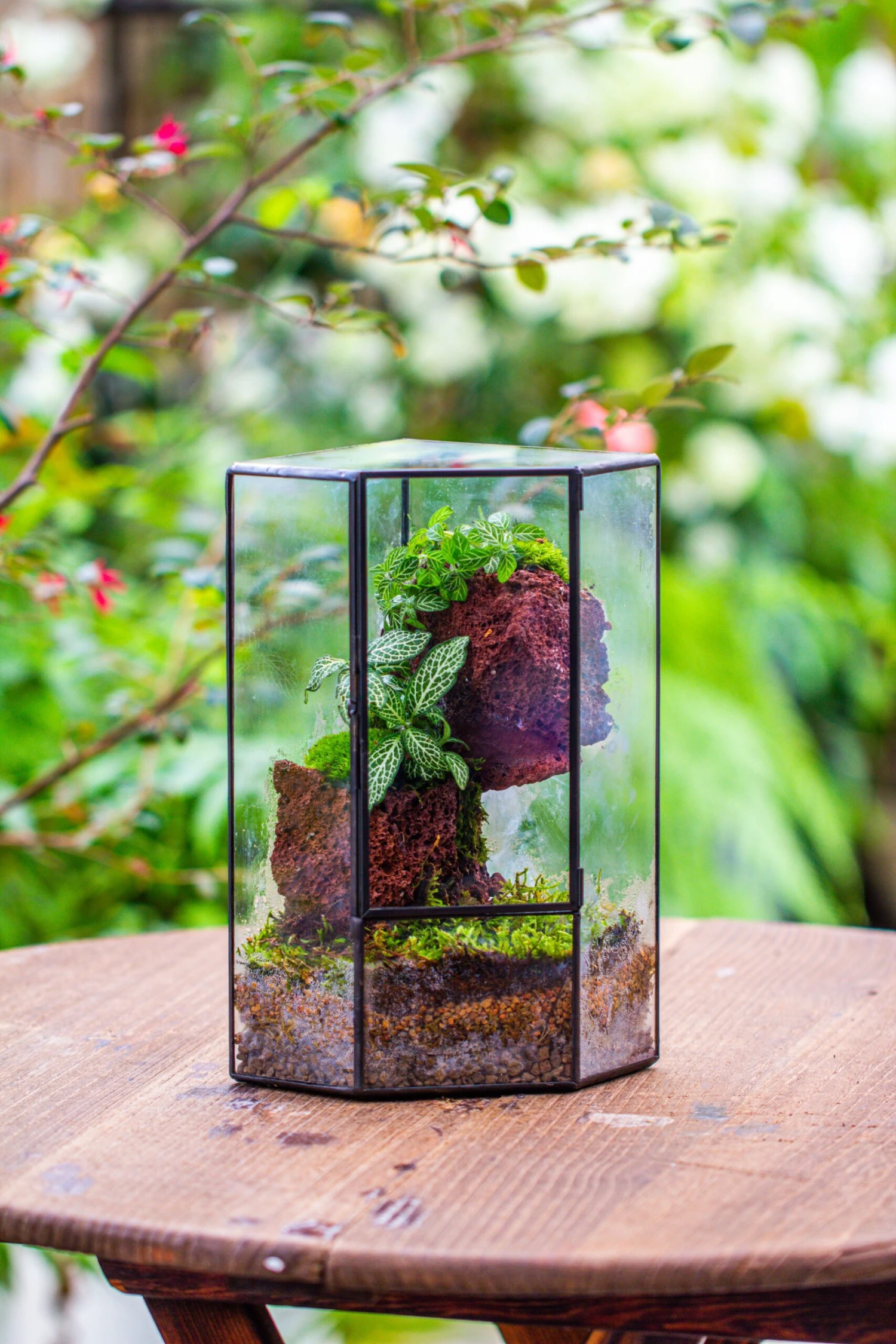 Small Version Handmade Glass Terrarium With Door For Plant, Moss Wall, Closed Geometric Tin Pentagon Planter 7 Small Version Handmade Glass Terrarium With Door For Plant, Moss Wall, Closed Geometric Tin Pentagon Planter - Image 5