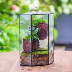 Small Version Handmade Glass Terrarium With Door For Plant, Moss Wall, Closed Geometric Tin Pentagon Planter 33 Small Version Handmade Glass Terrarium With Door For Plant, Moss Wall, Closed Geometric Tin Pentagon Planter -Terrarium Plant Hub IMG 7129 2