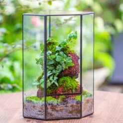 Handmade Close Geometric Tin Glass Corner Terrarium With Door, For Corner, Shelf -Terrarium Plant Hub IMG 7131 2