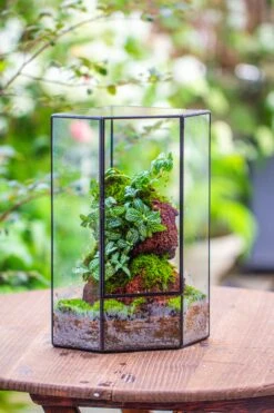 Handmade Close Geometric Tin Glass Corner Terrarium With Door, For Corner, Shelf -Terrarium Plant Hub IMG 7131