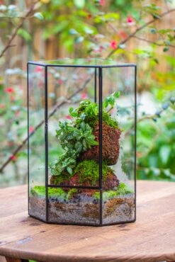 Handmade Close Geometric Tin Glass Corner Terrarium With Door, For Corner, Shelf -Terrarium Plant Hub IMG 7132