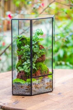 Handmade Close Geometric Tin Glass Corner Terrarium With Door, For Corner, Shelf -Terrarium Plant Hub IMG 7133
